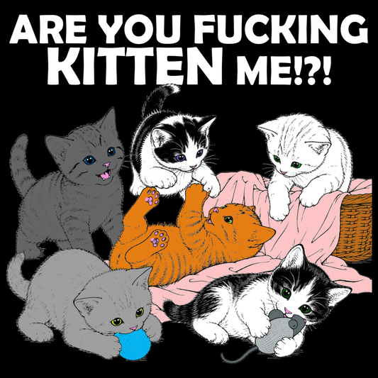 KITTEN ME!?!