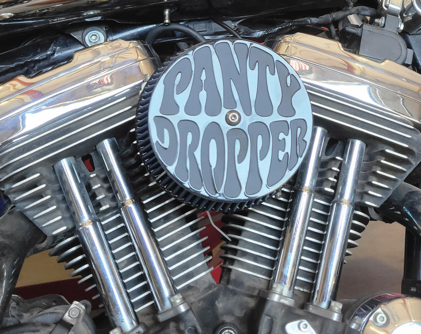 PANTY DROPPER AIR CLEANER COVER
