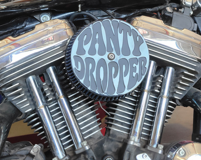 PANTY DROPPER AIR CLEANER COVER